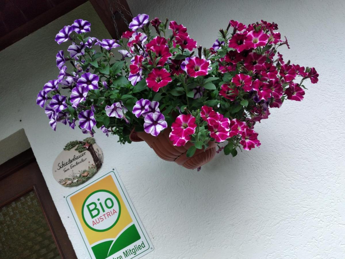 Bio-Bauernhof Schiederhof Apartment Fusch an der Grossglocknerstrasse Ngoại thất bức ảnh